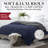 All Season Microfiber Down Alternative Comforter