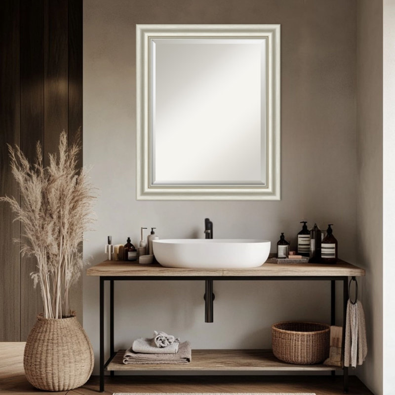 Miroir mural de salle de bain Sophia, Argent argent, 27,5 po x 33,5 po