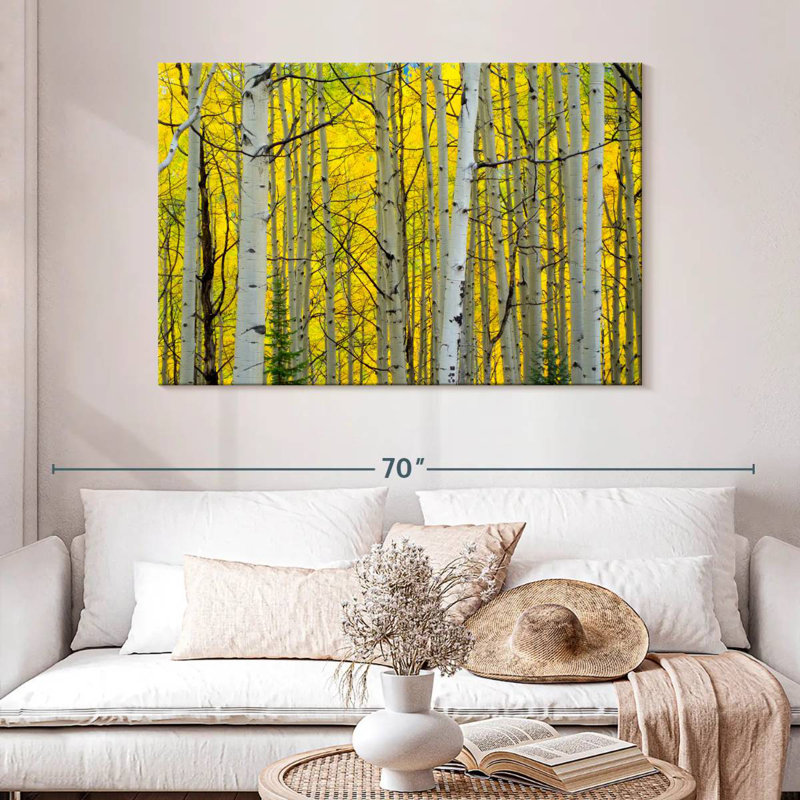 Bouleaux Alvord, forêt, automne, H 32 po x l 48 po