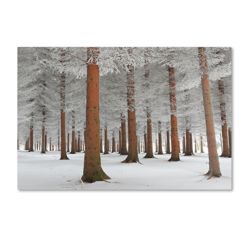 « blanc blanc », reproduction de photo sur toile tendue, 16 po x 24 po