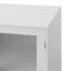 Modern Living Room Cabinet Storage Organizer With 2 Glass Doors And Adjustable Shelf White