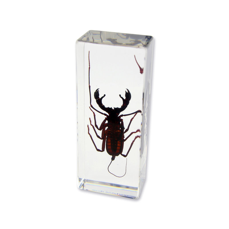 Presse-papier Scorpion ranstead whip