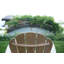 Teak Outdoor Adirondack Chair