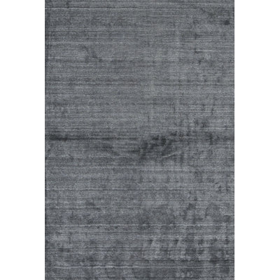 Area Rug in Gray