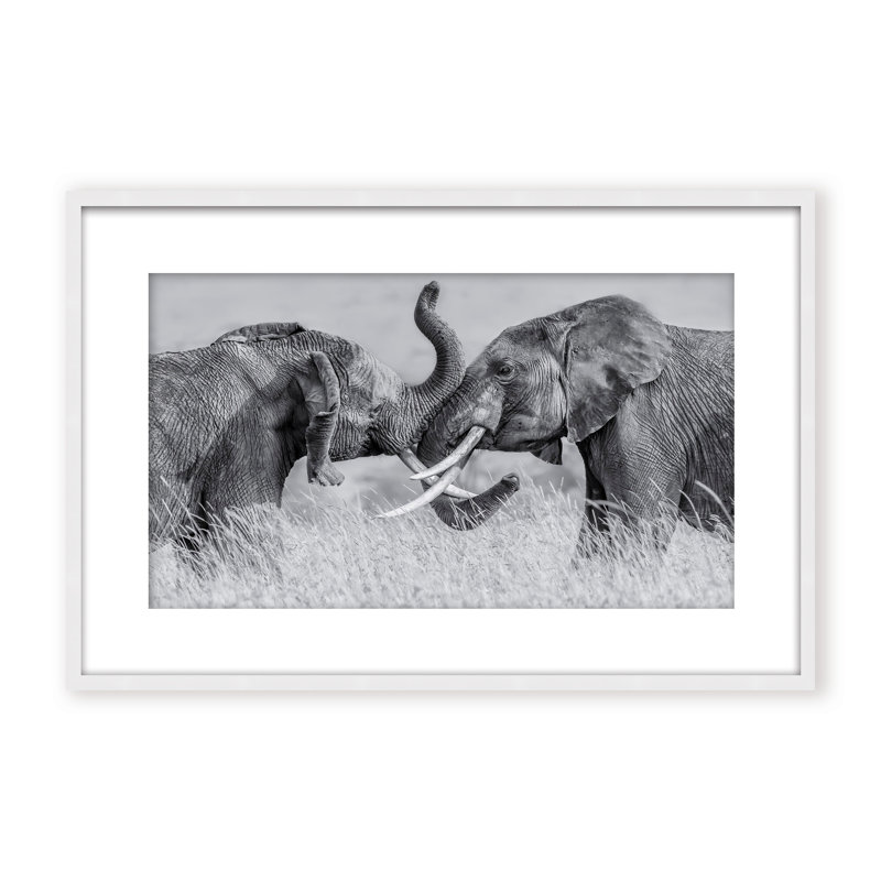 Nature Inspired Elephant Tai Chi by  - Picture Frame Photograph on Paper, 16" H x 24" W x 1.125" D, Black