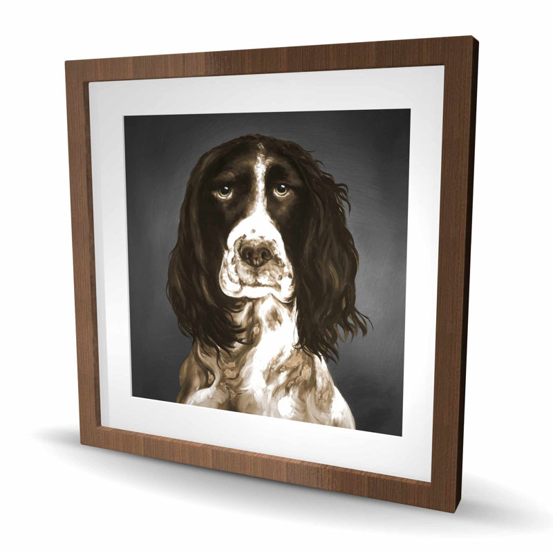 «Brown English Springer Spaniel», reproduction encadrée | Décoration intérieure