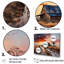 Ensemble de décorations murales Sunrise-107754751