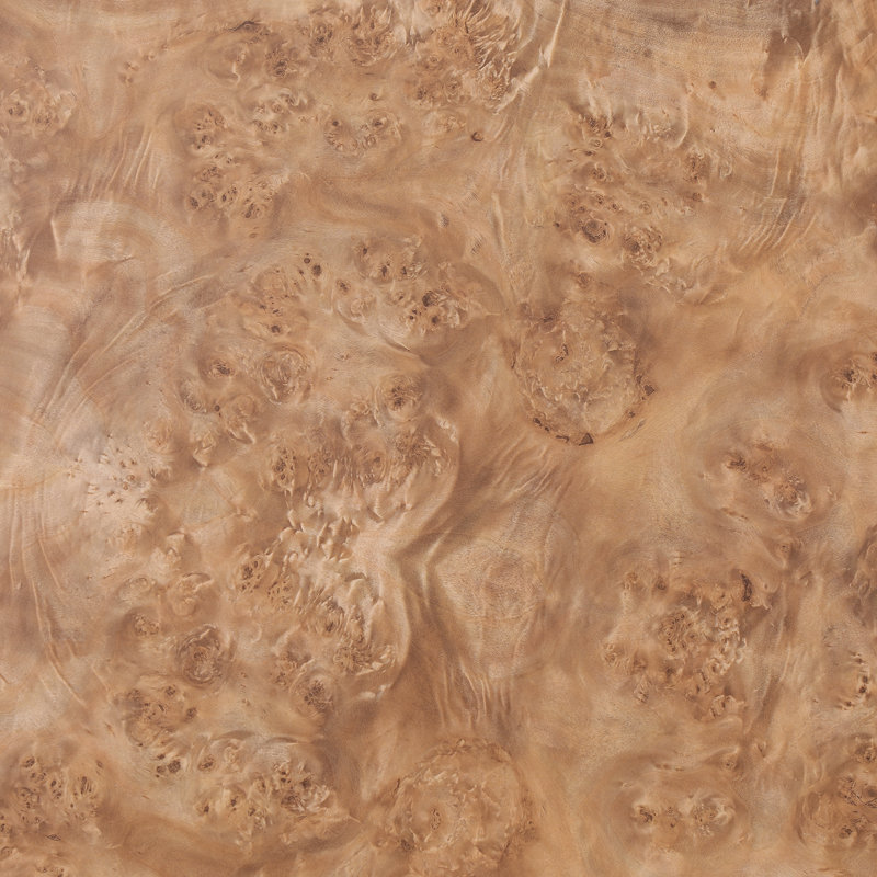 Table basse Calyx Burl