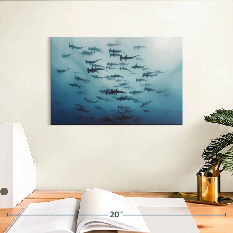Brampt Shiver of Hammerhead Sharks, 8'' H x 12'' W