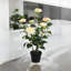 58cm Faux Plant in Pot