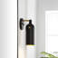 Caniah Single Light Iron Dimmable Armed Sconce-773019661