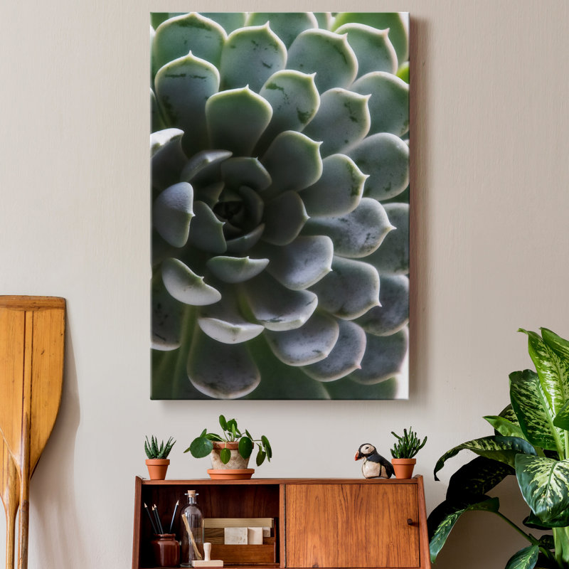 Zen Succulent I - reproduction de photo sur toile tendue, H 60 po x l 40 po x P 1 po