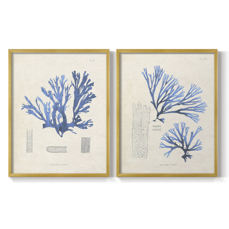 Algue bleue bleue - reproduction encadrée de qualité supérieure - prête à être accrochée - aucun clou requis - aucun clou requis