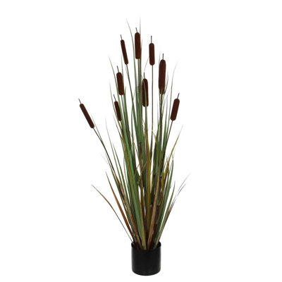 120cm Cattail Plant in Pot