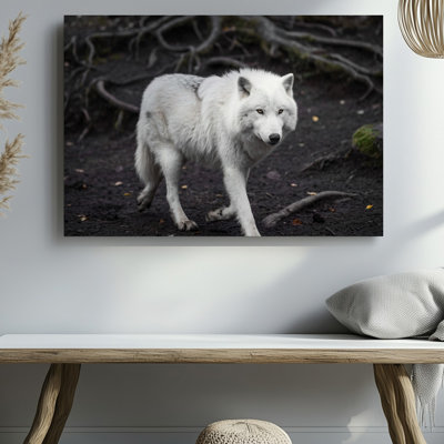 Toile, "Un loup blanc majestueux avec un manteau luxueusement épais et moelleux qui traverse gracieusement une forêt sombre et sombre"