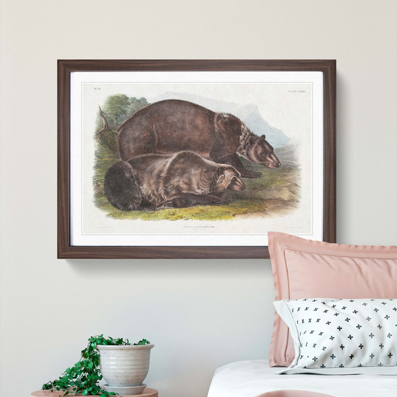 Grizzly Bears by J.W. Audubon - Picture Frame Painting Print, 27cm H x 36cm W x 2cm D, Walnut Framed
