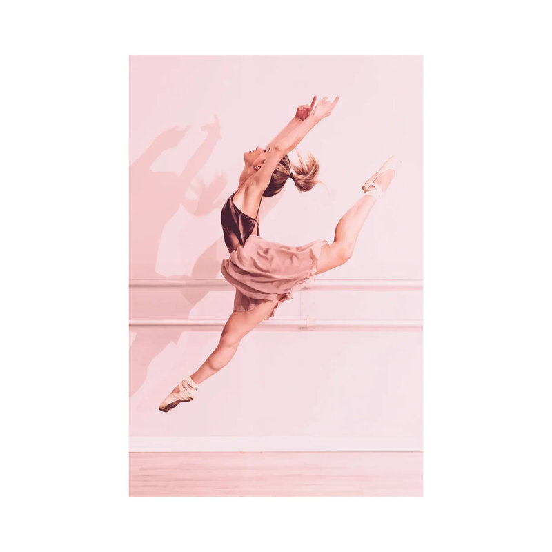 Bailarina #2 by Glauco Meneghelli - Wrapped Canvas Print, 20.32 cm H x 30.48 cm W
