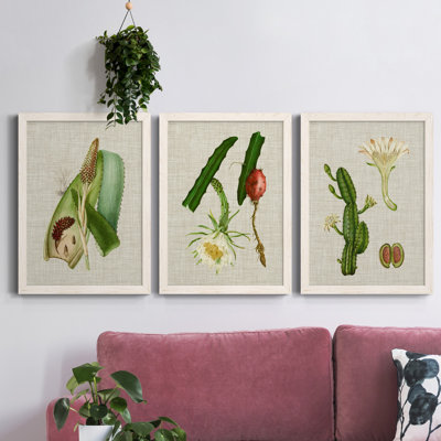 «Elegant Tropicals I», ensemble de 3 reproductions d'art sur toile