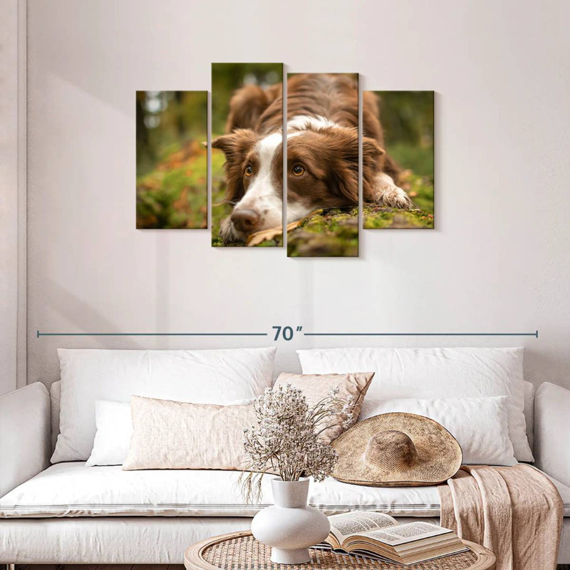 Brampt Lovable Border Collie, 27" H x 43" W