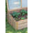 Tierra Garden Wooden Cold Frame 39.4"Wx23.6"Dx15.4"H