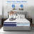 Rudgeway 12'' Medium Skin-friendly Cooling Memory Foam Hybrid Mattresses in a box with CertiPUR-US and Oeko TEX Certified-968416471