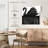 Brampt Black Swan Reflection-109368544