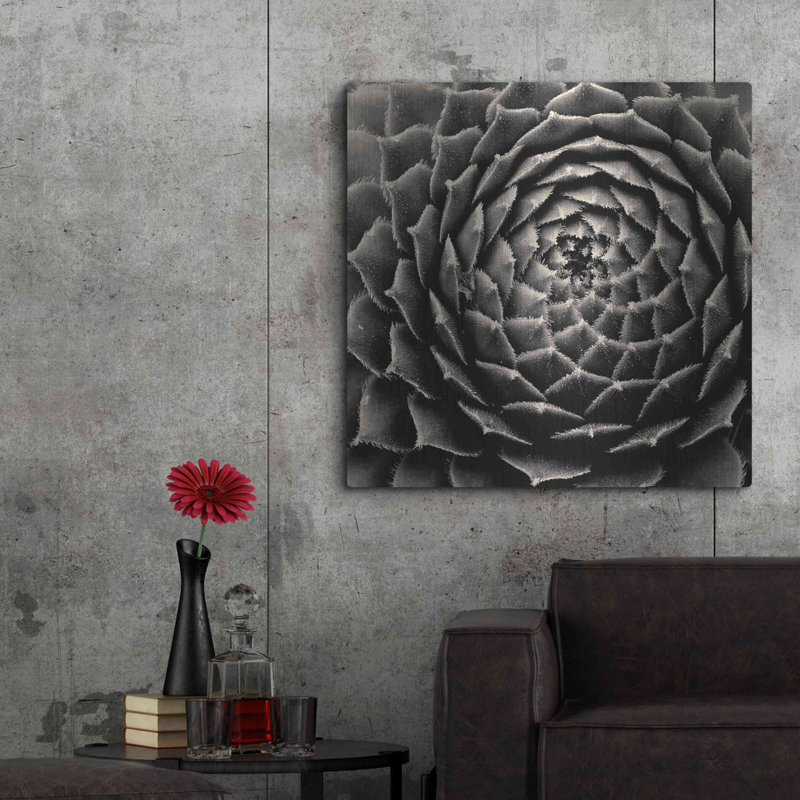«Succulent» par Gary Horsfall, H 36 po x l 36 po