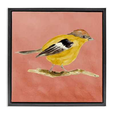 Art mural sur toile flottant traditionnel "Wren Bird" gris par Lanie Loreth