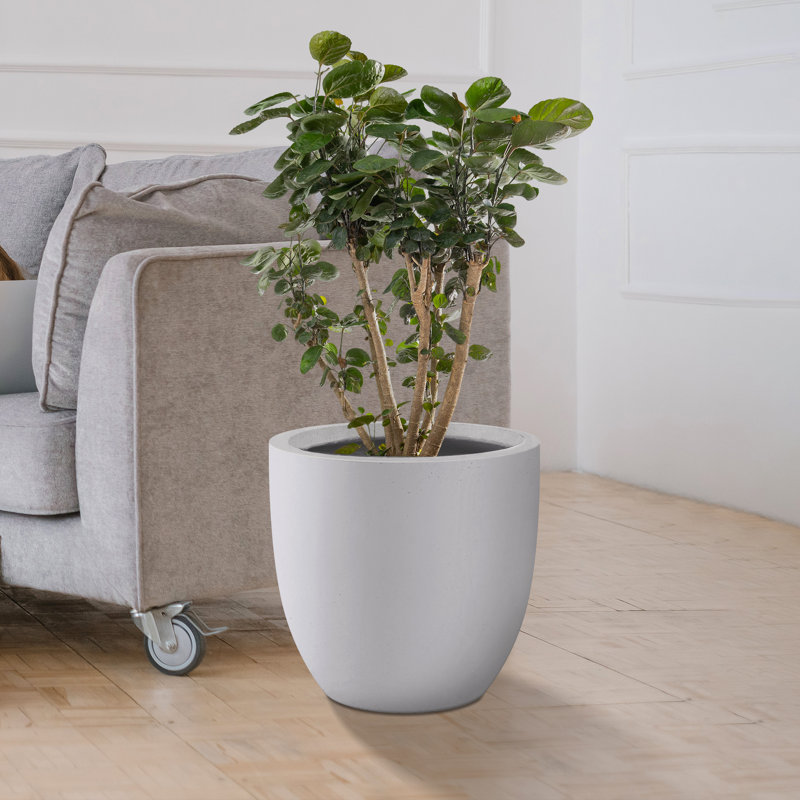 Pot à fleurs en béton Karola, Blanc, H 9 po x l 10 po x P 10 po