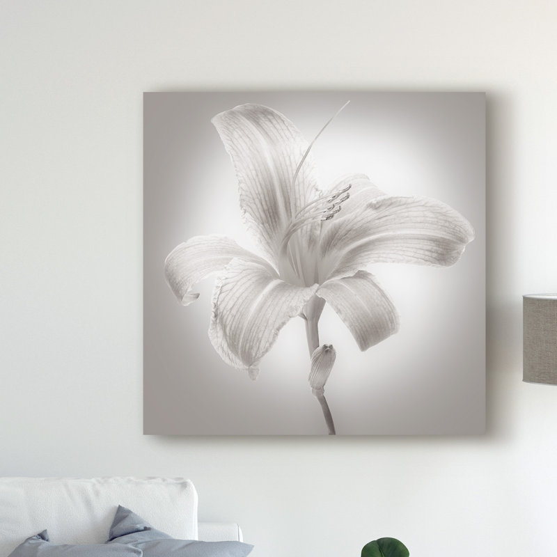 «Tiger Lily I» par James Mcloughlin - reproduction de photo sur toile, H 14 po x l 14 po x P 2 po