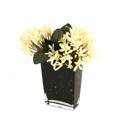 Agapanthus crème/blanc dans un vase tacheté