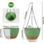 Elevated Planter-101152242