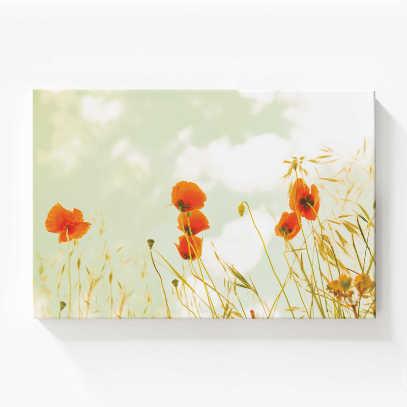 «Gentle Poppy Breeze», grande impression sur toile, H 40 po x l 60 po