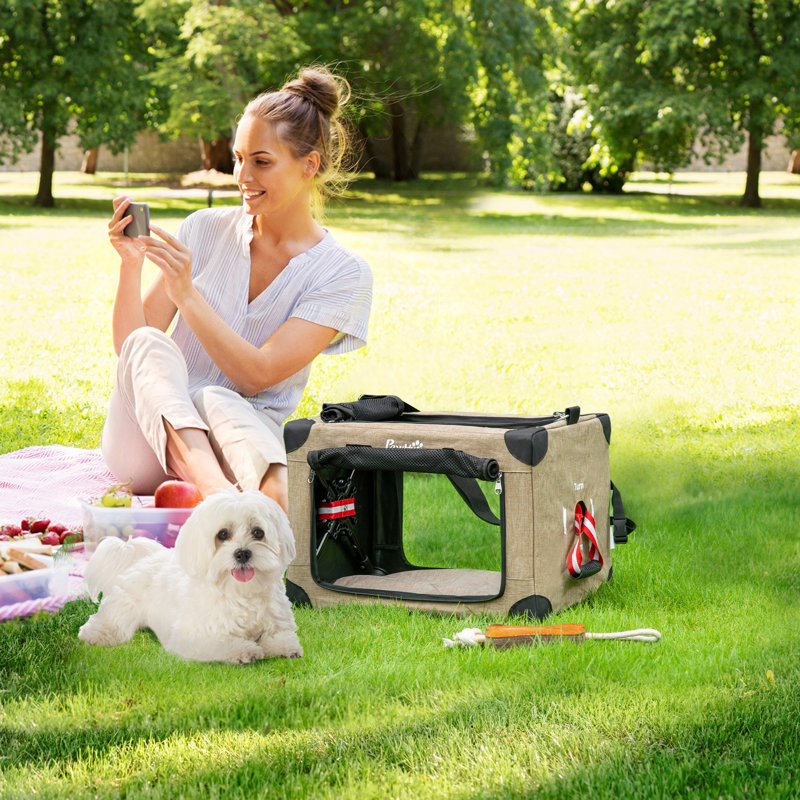 Pet Carrier with 2 Doors