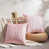 Rose est en rupture de stock