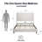 Mozter Upholstered Wingback Platform Bed-1680021528-1680021530