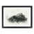 Black Framed selected