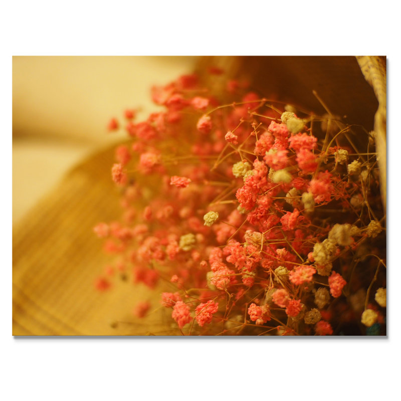 «Red Blossoming Spring Flowers», reproduction sur toile flottante, H 12 po x l 20 po x P 1 po, Toile tendue