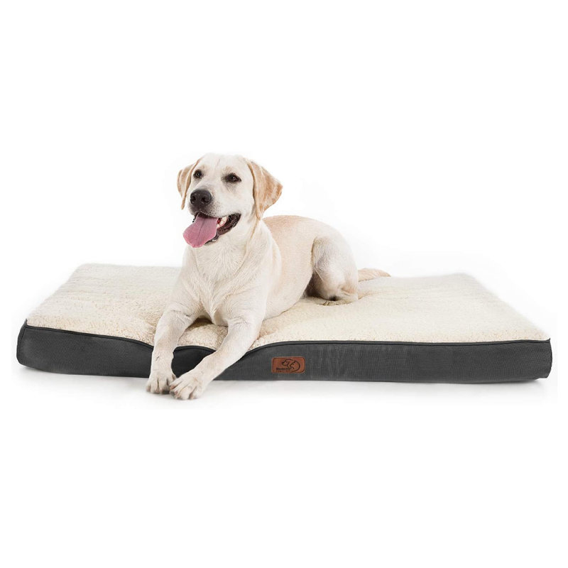 Lit orthopédique pour chien - Housse imperméable pour animal en mousse avec caisse lavable amovible, Gris / Crème
