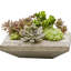 Garden Terrace Planter-13940389