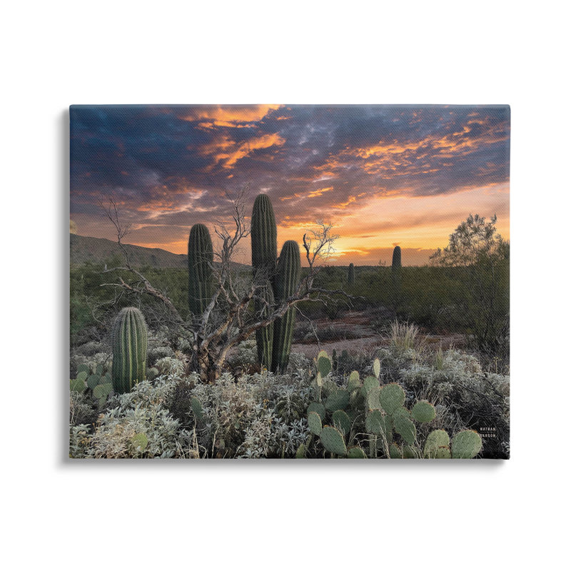 Cactus aride du désert - Photographie sur toile tendue, H 30 po x l 40 po x P 1,5 po