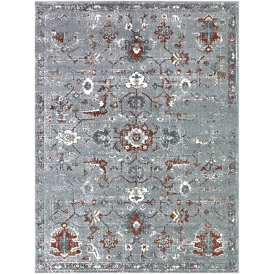 Thaddeus Blue/Rust Distressed Medallion Area Rug