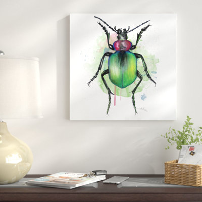 « calosoma sycophanta », reproduction sur toile tendue