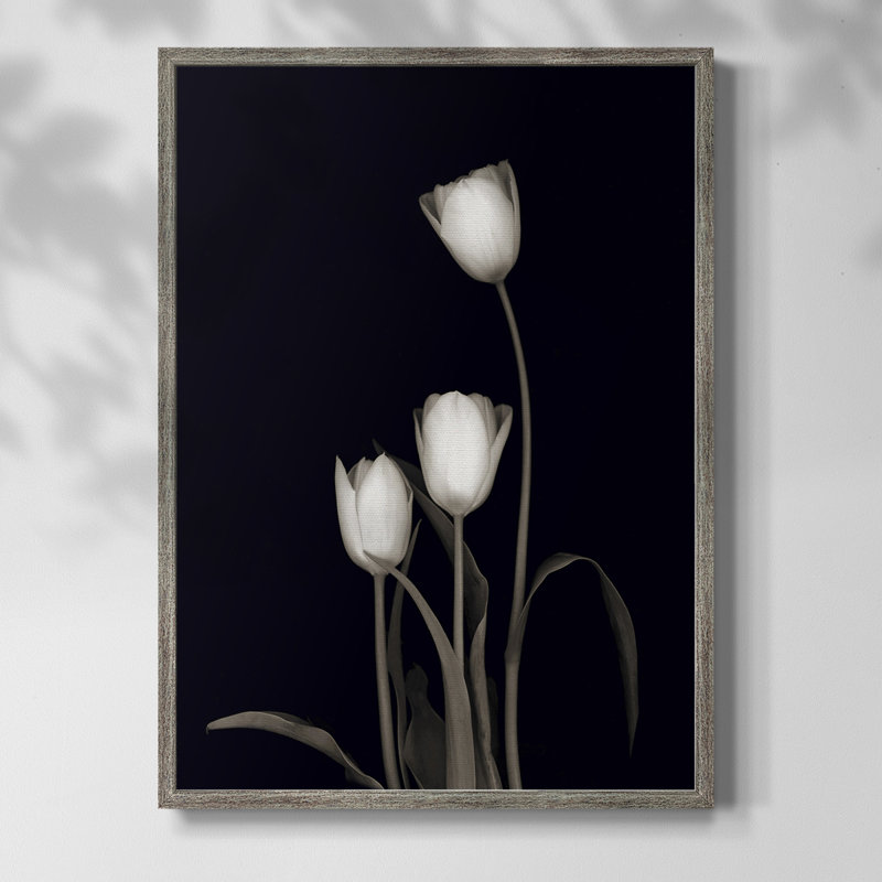 «Tulip Pose III», reproduction encadrée - bois massif 48156, H 11 po x l 9 po