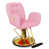 Rose est en rupture de stock