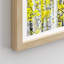 «White Yellow Birch Tree Leaf Spring Autumn Forest» sur papier-98266030-98266033