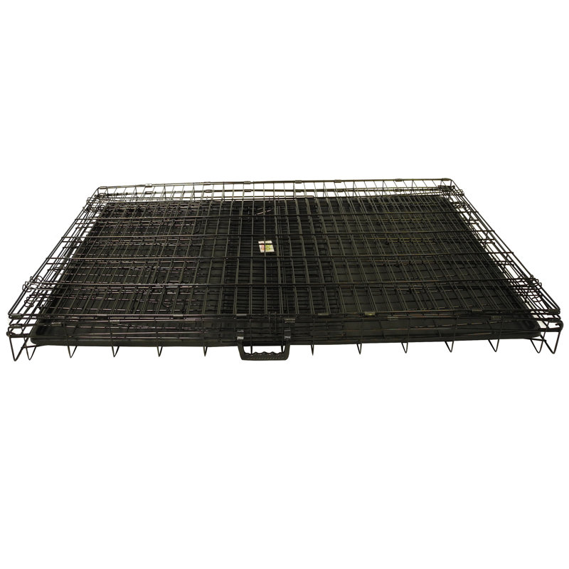 Metal Collapsible Pet Crate with 2 Doors, Large (30" H x 28" W x 42" D)