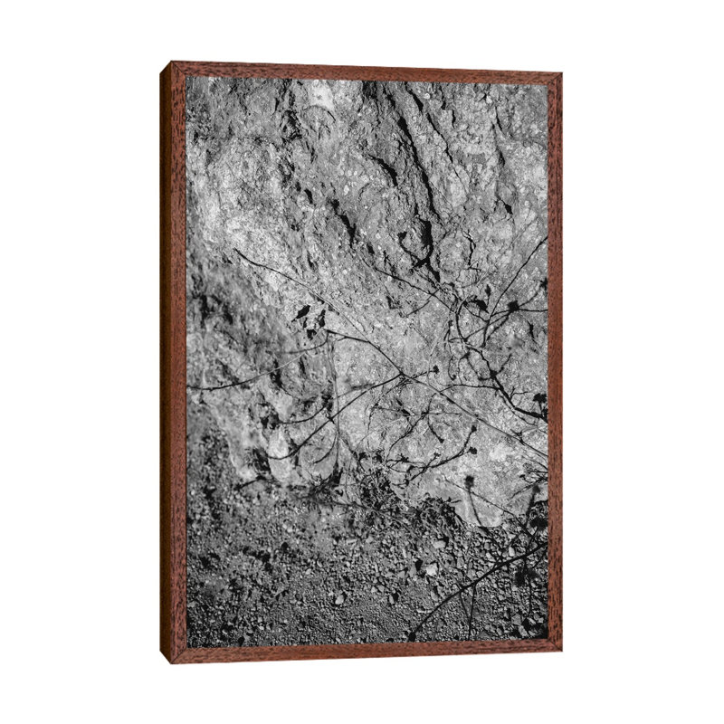 Big Sur Wild Flowers V by Bethany Young - Print on Canvas, 66.04cm H x 45.72cm W x 3.81cm D, Classic Brown Wood Framed