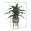 Plante artificielle en panier 17,50 po Callender-726351188
