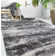 Alban Performance Abstract Indoor Rug